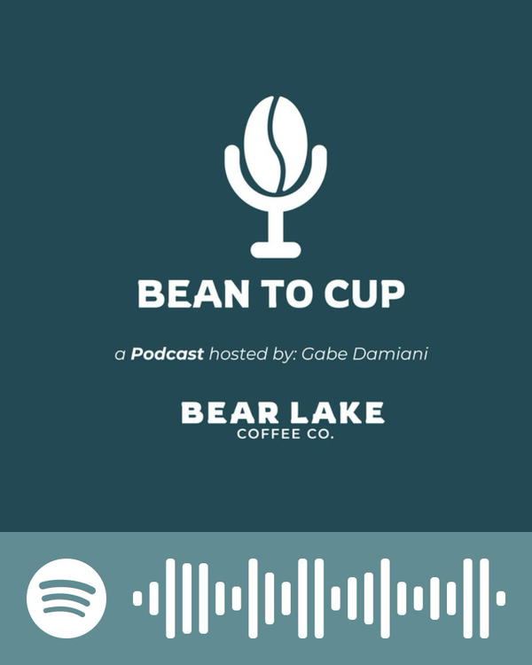 Q-Grader’s Choice: 12oz Coffee of the Month - Gift