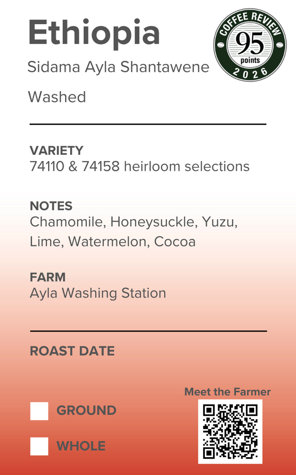 Ethiopia Sidama Ayla Shantawene Washed