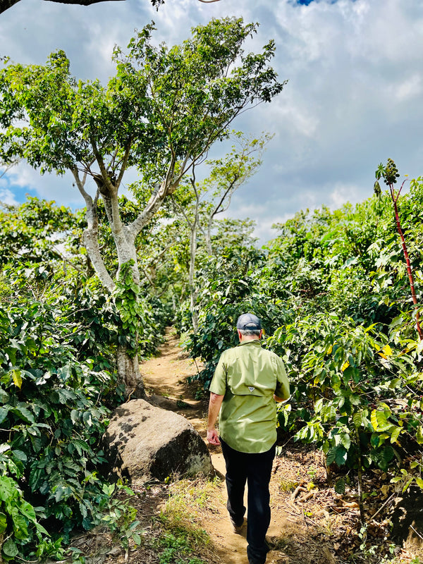 El Salvador Natural Pacamara Nano Lot