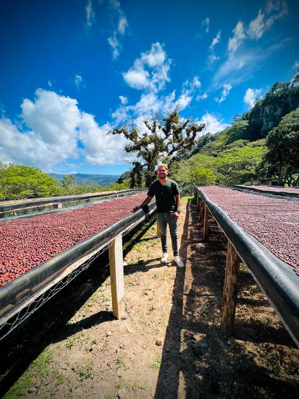 Honduras Bourbon Natural Microlot