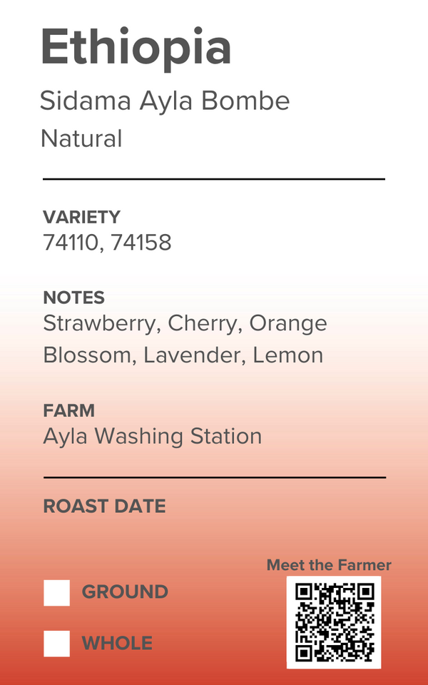 Ethiopia Sidama Ayla Bombe Natural