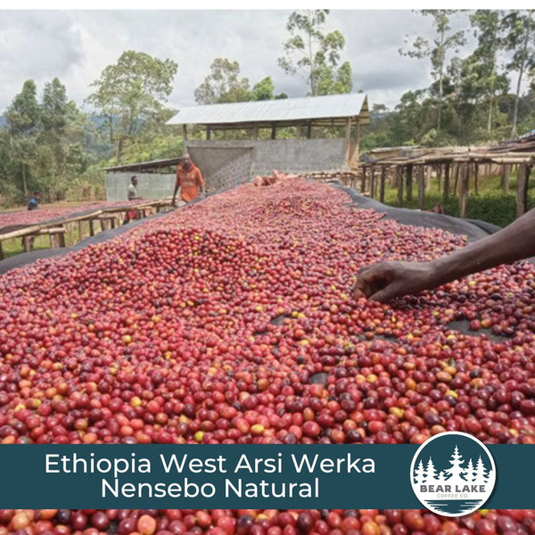 Ethiopia West Arsi Werka Nensebo Natural