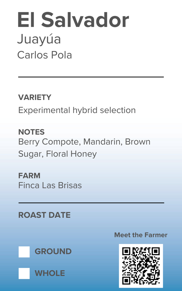 El Salvador - Experimental Hybrid Selection