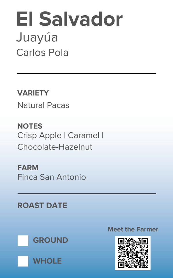 El Salvador Finca San Antonio Natural Pacas