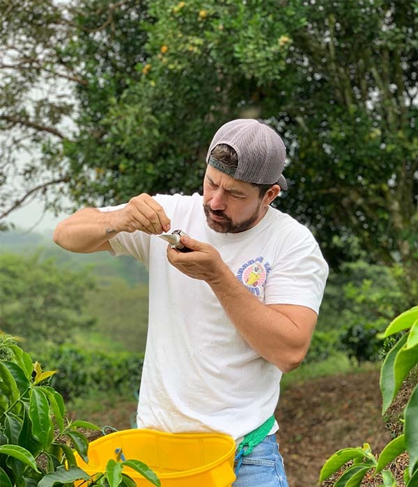 Colombia Campo Hermoso Pink Bourbon Washed