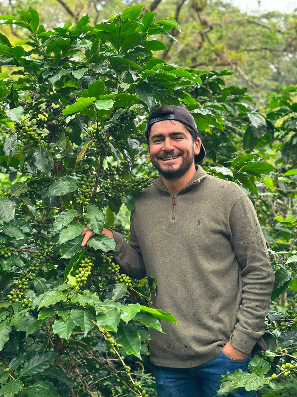 Honduras Heirloom Natural Microlot