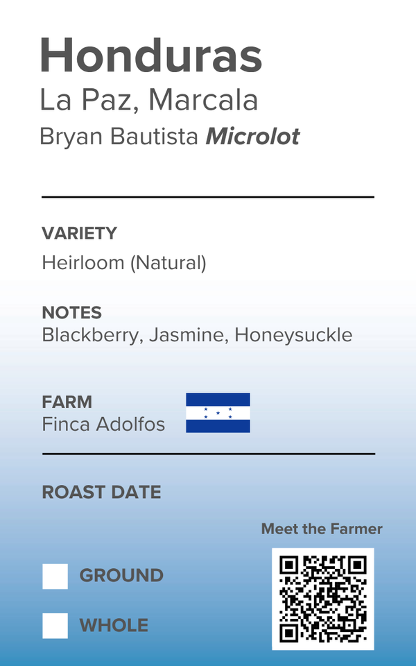 Honduras Heirloom Natural Microlot