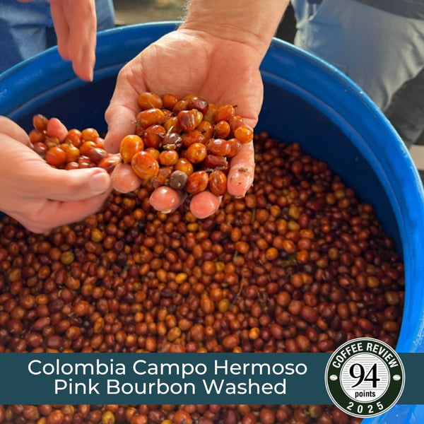 Colombia Campo Hermoso Pink Bourbon Washed