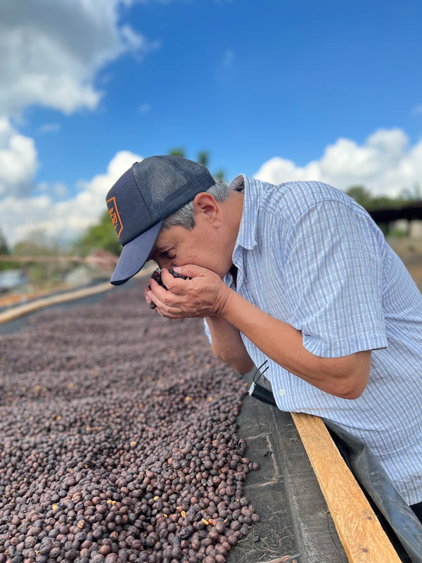 El Salvador Kenya Natural Nano Lot