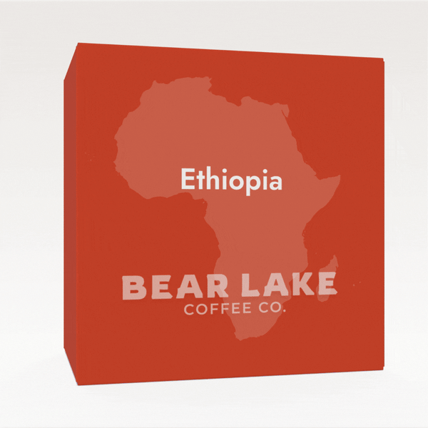 Q-Grader’s Choice: Coffee of the Month