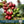 Colombia Campo Hermoso Sidra Washed