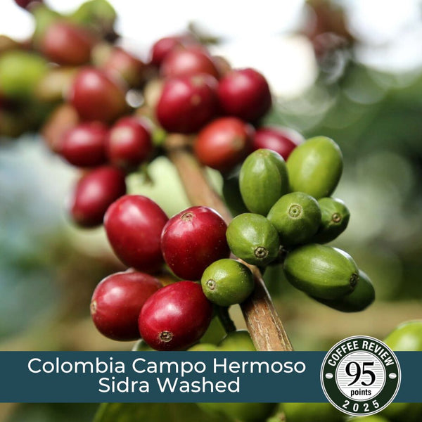 Colombia Campo Hermoso Sidra Washed