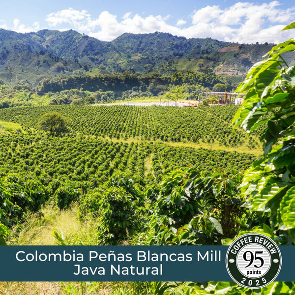 Colombia Penas Blancas Mill Java