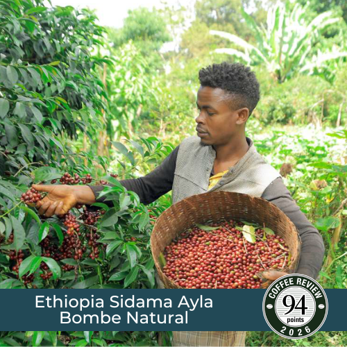 Ethiopia Sidama Ayla Bombe Natural