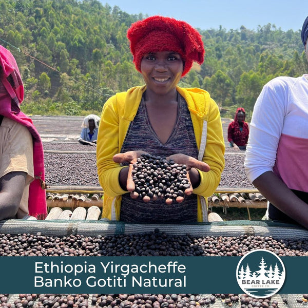 Ethiopia Yirgacheffe Banko Gotiti Natural