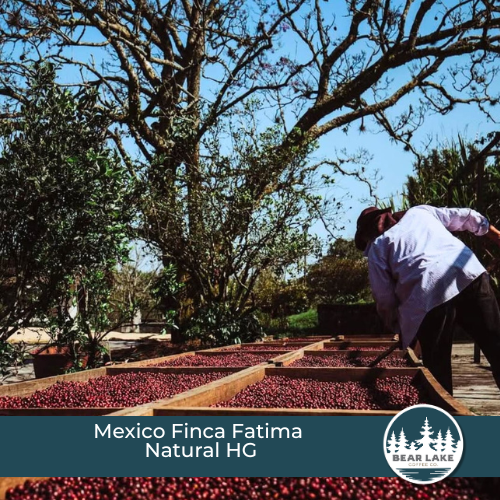 Mexico Finca Fatima Natural HG
