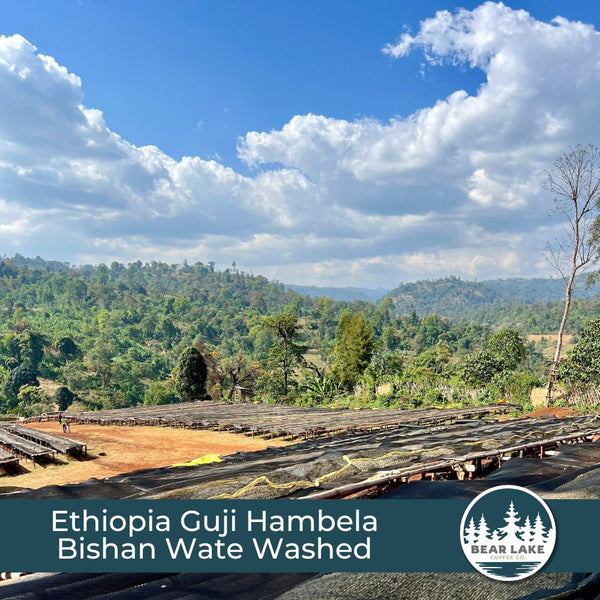 Ethiopia Guji Hambela Bishan Wate Washed