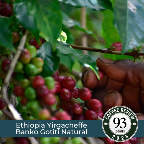 Ethiopia Yirgacheffe Banko Gotiti Natural