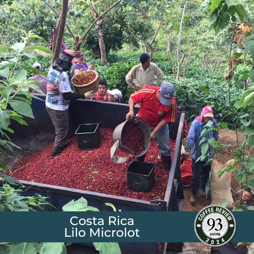 Costa Rica Lilo Microlot