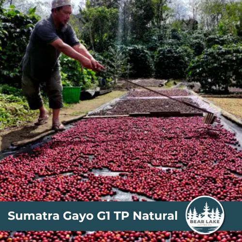 Sumatra Gayo G1 TP Natural