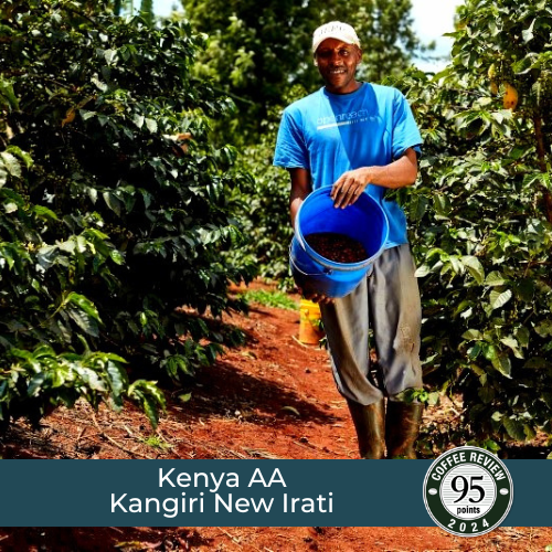 Kenya AA Kangiri New Irati