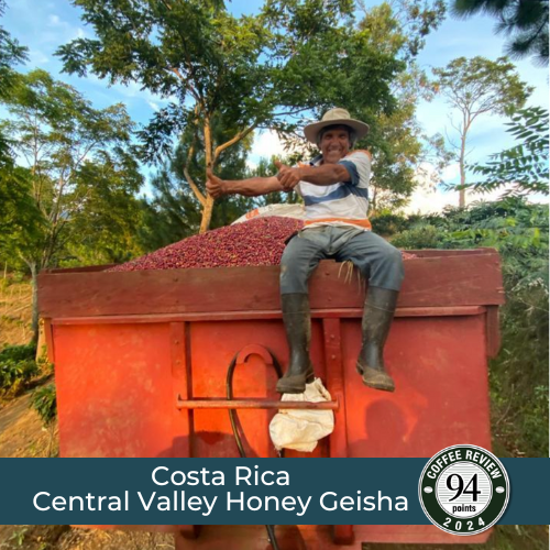 Costa Rica Central Valley Honey Geisha