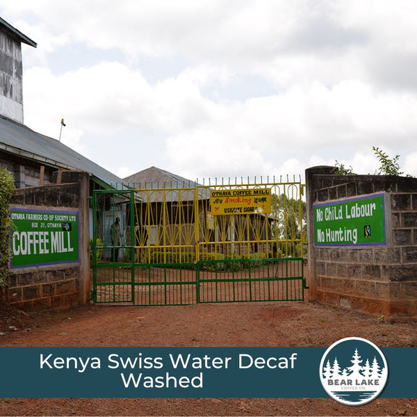 Kenya Swiss Water Decaf Washed