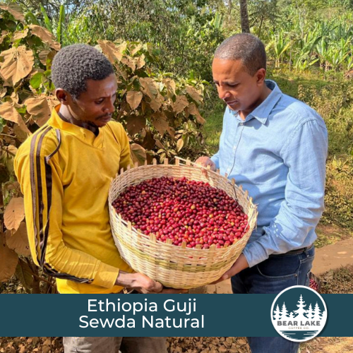 Ethiopia Guji Sewda Natural